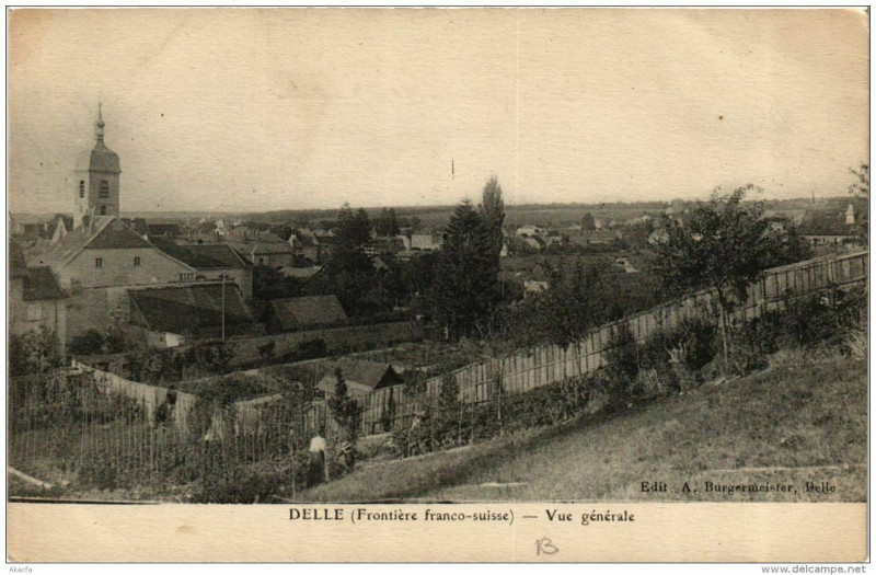 Carte postale ancienne Delle Vue Generale à Delle