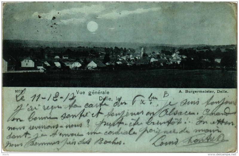 Carte postale ancienne Delle Vue Generale à Delle