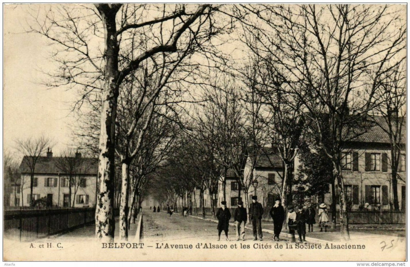 Carte postale ancienne Belfort L'Avenue d'Alsace et les Cités de la Société à Belfort