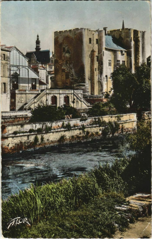 Carte postale ancienne Niort La Sevre au Pied du Donjon à Niort