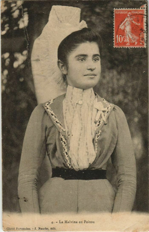 Carte postale ancienne La Malvina en Poitou