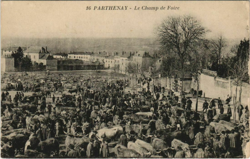 Carte postale ancienne Parthenay Le Champ de Foire à Parthenay