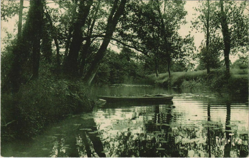 Carte postale ancienne La Foret-sur-Sevre La Sevre Niortaise a La Foret-sur-Sevre à Niort