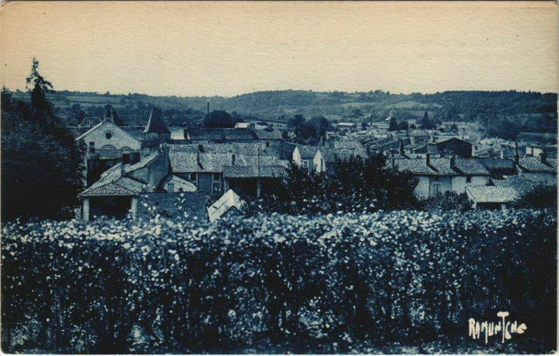 Carte postale ancienne La Mothe-Saint-Heray Panorama