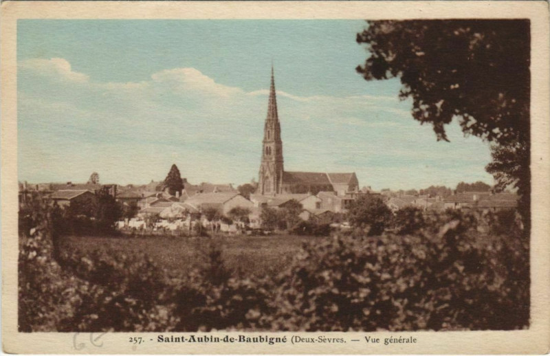 Carte postale ancienne Saint-Aubin-de-Baubigne Vue Generale