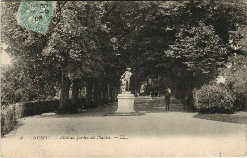 Carte postale ancienne Niort Allee au Jardin des Plantes à Ardin