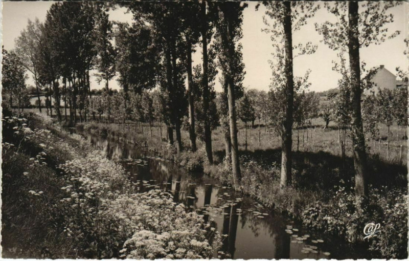 Carte postale ancienne Bressuire Les Bords du Dolo à Bressuire