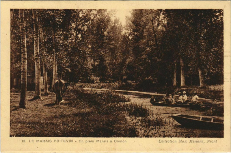 Carte postale ancienne Le Marais Poitevin - En Plein Marais a Coulon à Coulon