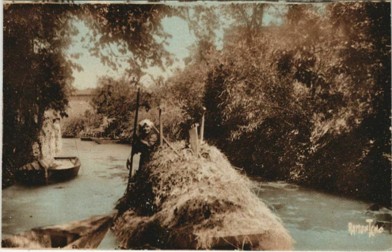 Carte postale ancienne Le Marais Poitevin - La Venise Verte