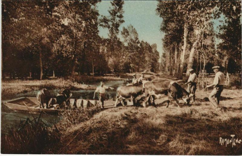 Carte postale ancienne Le Marais Poitevin
