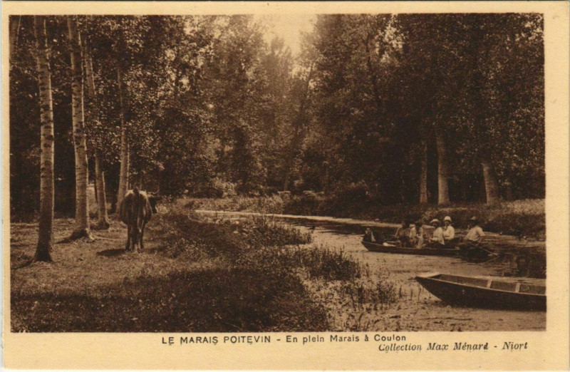 Carte postale ancienne Le Marais Poitevin - En Plein Marais a Coulon à Coulon