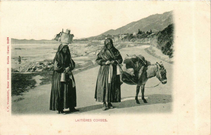 Carte postale ancienne Corse Laitieres Corses à Aiti