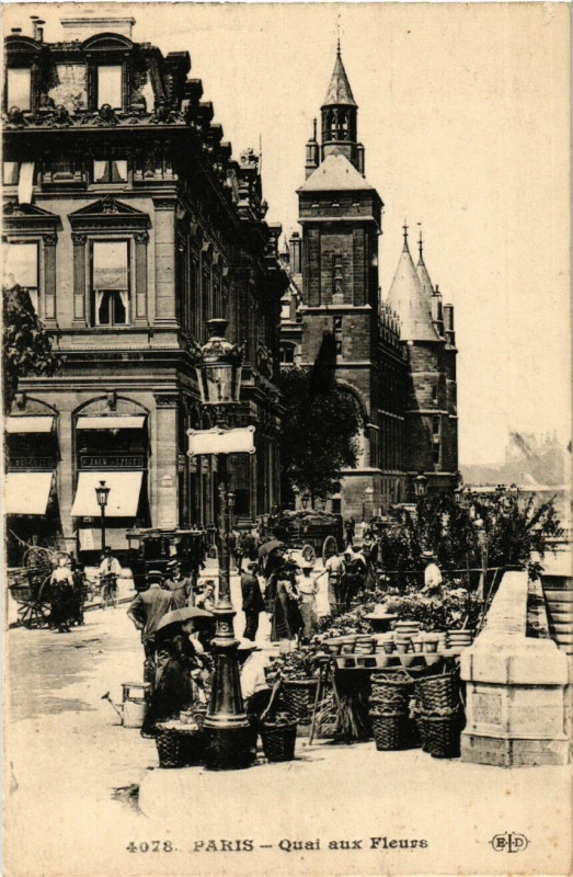 Carte postale ancienne Paris 4e Quai aux Fleurs à Paris 4e