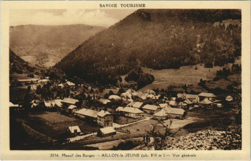 Carte postale ancienne Aillon-le-Jeune Vue Generale à Aillon-le-Jeune