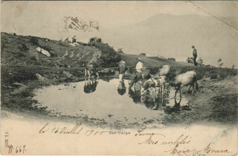 Carte postale ancienne Sur l'Alpe