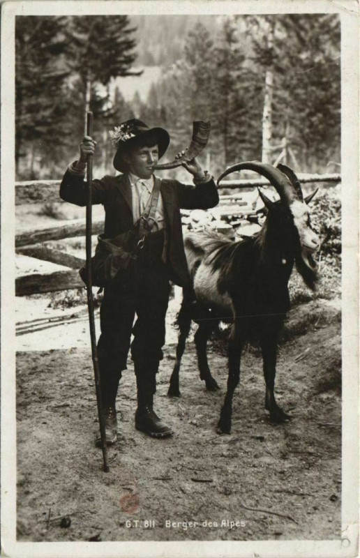Carte postale ancienne Berger des Alpes - Type