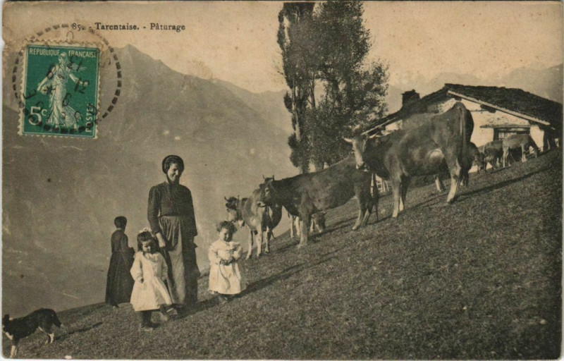 Carte postale ancienne Tarentaise - Paturage