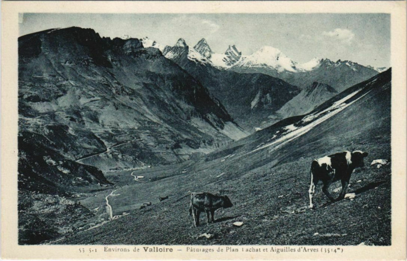 Carte postale ancienne Valloire Environs - Paturages à Valloire