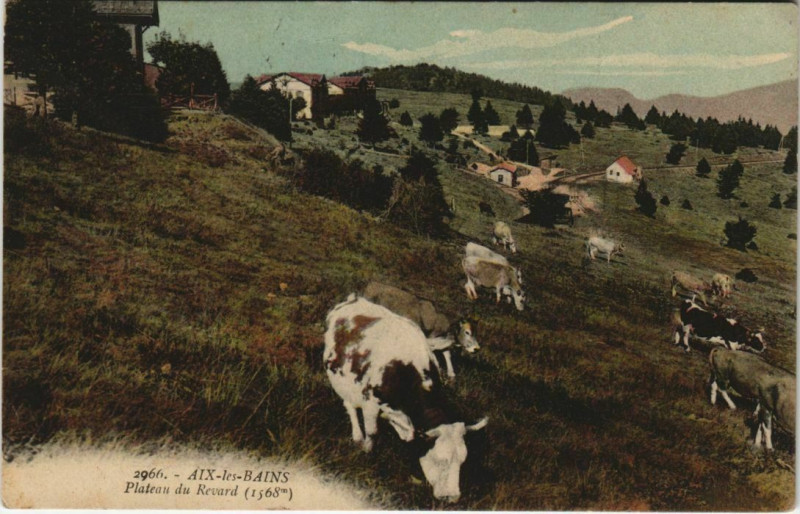 Carte postale ancienne Aix-les-Bains Plateau du Revard à Aix-les-Bains