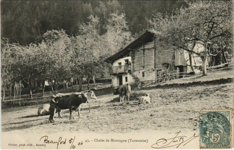Carte postale ancienne Chalet de Montage - Tarentaise