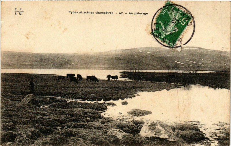 Carte postale ancienne Types et Scenes champetres Au paturage France Folklore