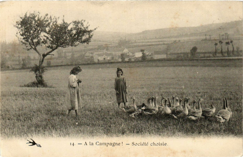 Carte postale ancienne A la Campagne Societe choisie France Folklore