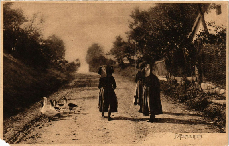 Carte postale ancienne Bitschhofen France Folklore