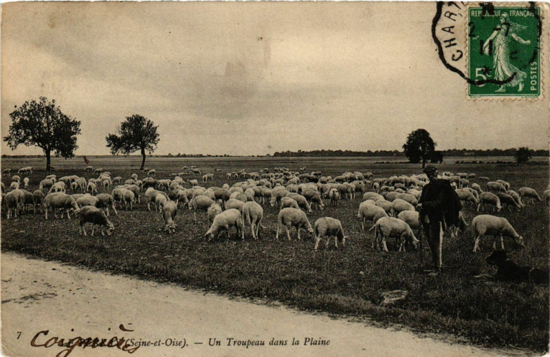 Carte postale ancienne Un Troupeau dans la Plaine France Folklore
