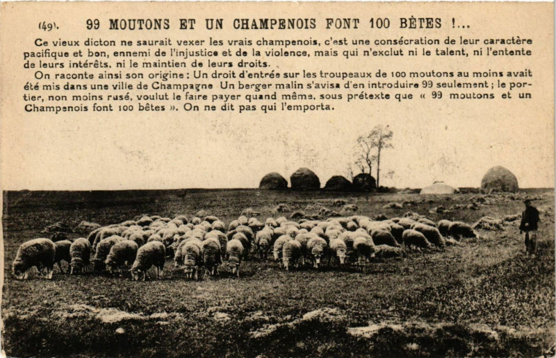 Carte postale ancienne 99 Moutons et un Champenois font 100 bêtes