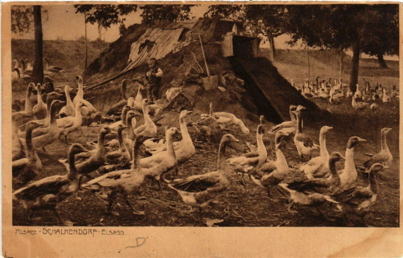 Carte postale ancienne Alsace - Schalkendorf - Elsass - Folklore - Types