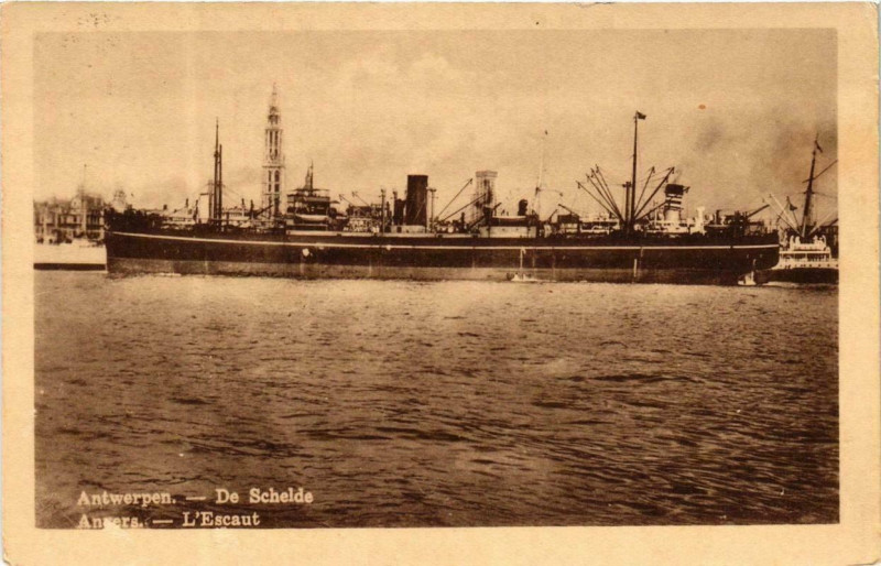 Carte postale ancienne Anvers - L'Escaut Ships