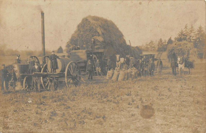 Carte postale ancienne Agriculture Carte Photo D'Une Scene De Fenaison Battage Du Ble Superbe