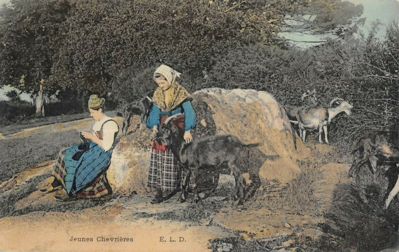 Carte postale ancienne Agriculture Jeunes Chevrieres