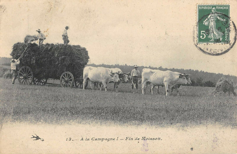 Carte postale ancienne Agriculture A La Campagne Fin De Moisson Attelage De Boeufs