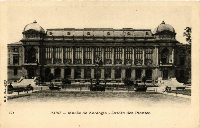 Carte postale ancienne Paris 5e Musée de Zoologie. Jardin des Plantes à Paris 5e