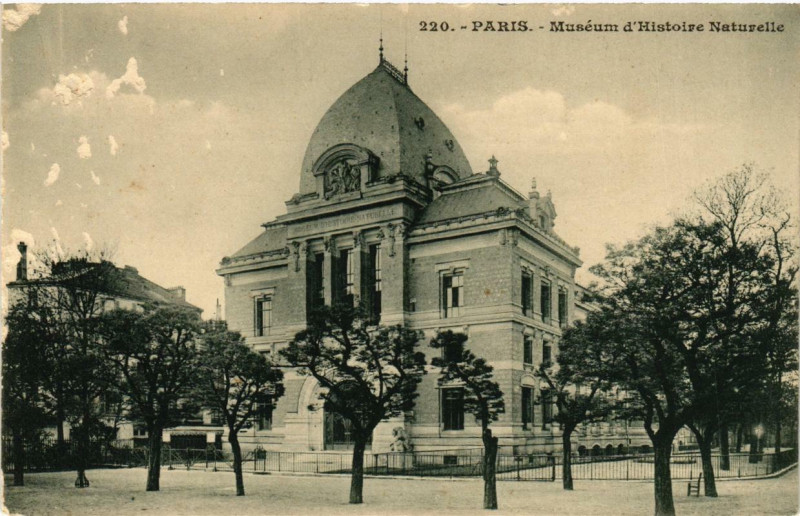 Carte postale ancienne Paris 5e Museum d'Histoire Naturelle à Paris 5e