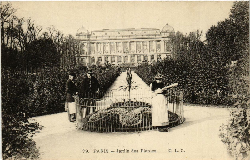Carte postale ancienne Paris 5e Jardin des Plantes à Paris 5e