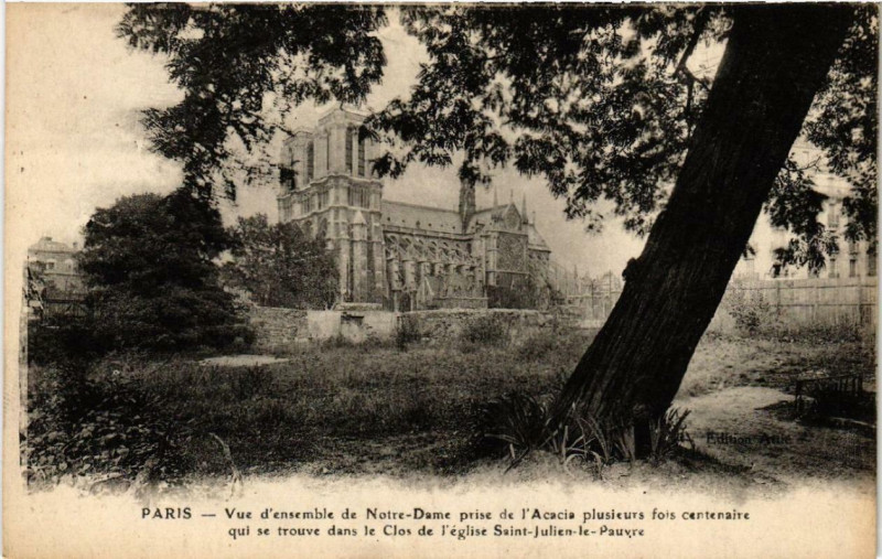 Carte postale ancienne Paris 4e Vue d'ensemble de Notre-Dame à Paris 4e