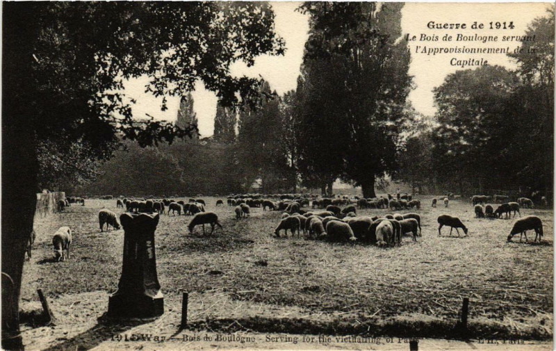 Carte postale ancienne Guerre de 1914 - Le Bois de Boulogne servant à l'Approvisionnement de la Capitale à Paris