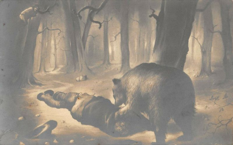 Carte postale ancienne Theme Ours Animal