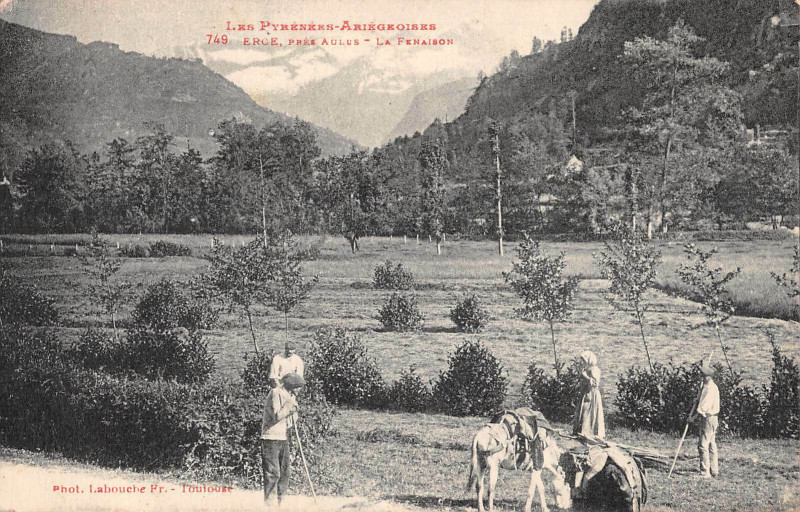 Carte postale ancienne Erce Pres Aulus La Fenaison