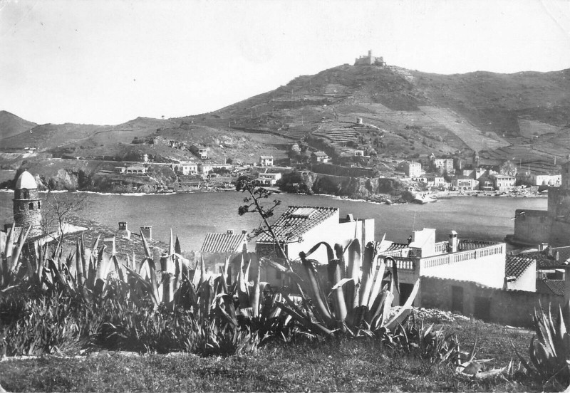 Carte postale ancienne Collioure Vue Prise Miradou Boutigue à Collioure