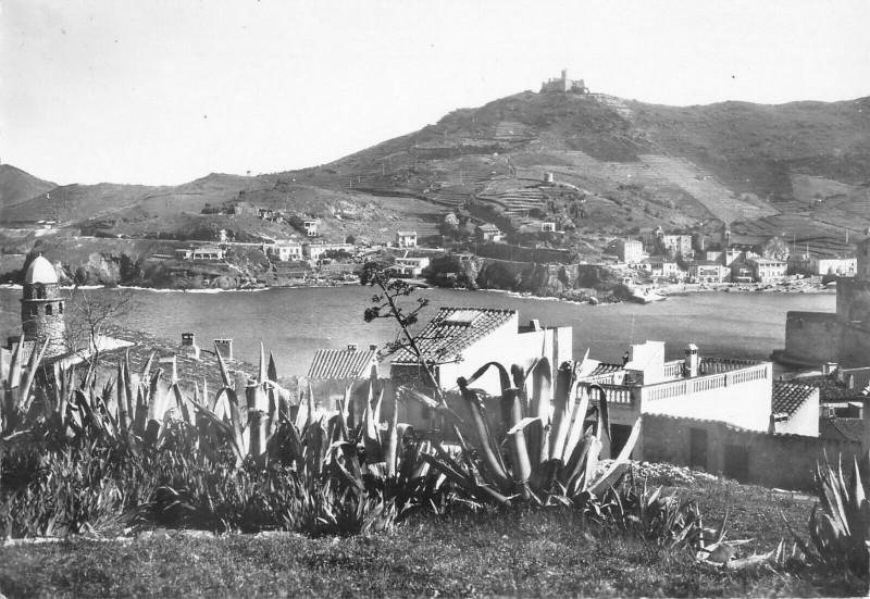 Carte postale ancienne Collioure Vue Prise Du Miradou à Collioure