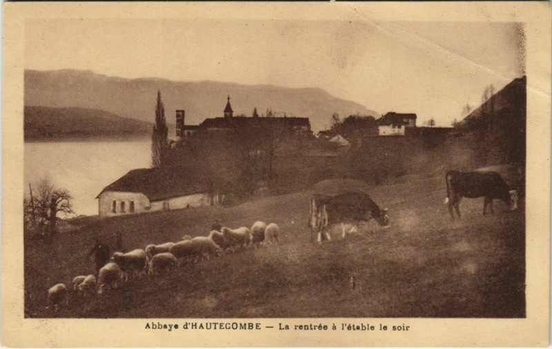 Carte postale ancienne Abbaye d'Hautecombe - La Rentree a l'Etable le Soir