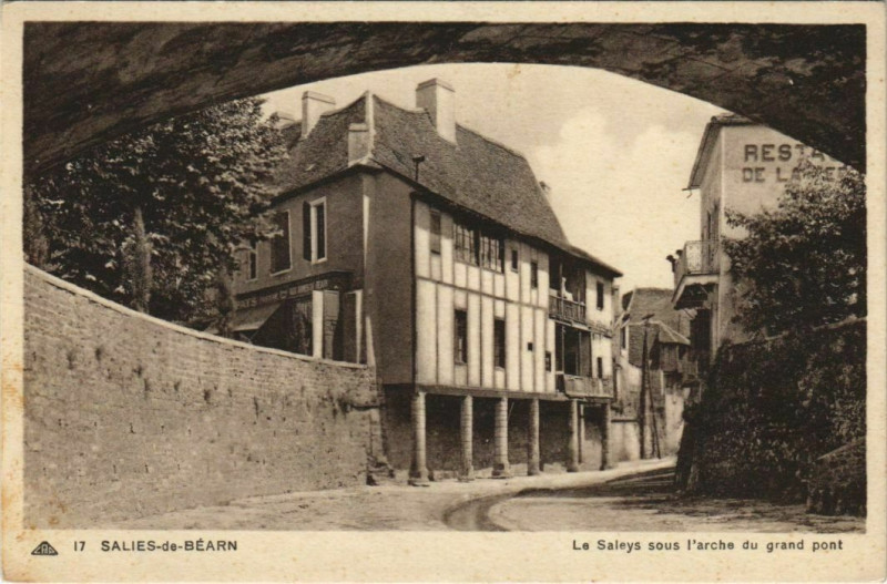 Carte postale ancienne Salies de Bearn Le Saleys sous l'arche du grand pont France