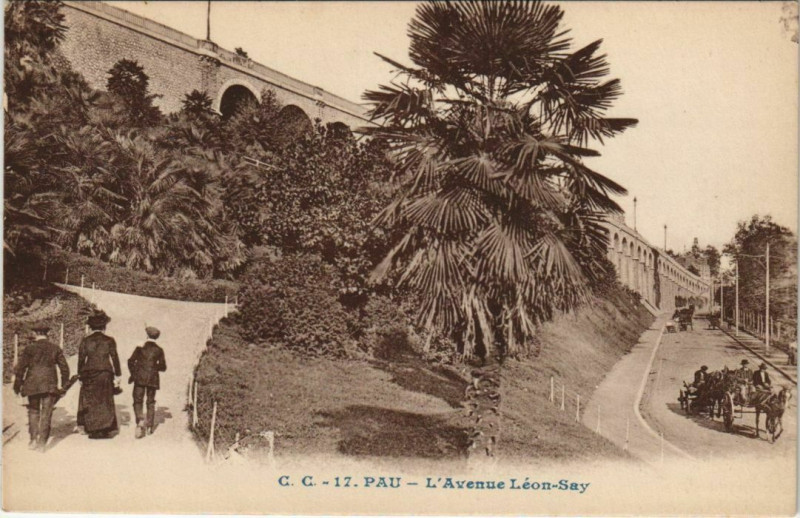 Carte postale ancienne Pau L'Avenue Leon Say France à Pau