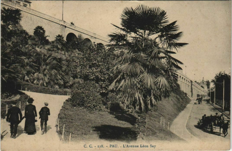 Carte postale ancienne Pau L'Avenue Leon Say France à Pau