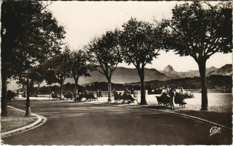 Carte postale ancienne Pau La Terrasse et le Boulevard France à Pau
