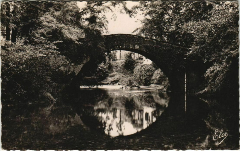 Carte postale ancienne St Jean Pied de Port Vieux Pont Romain France