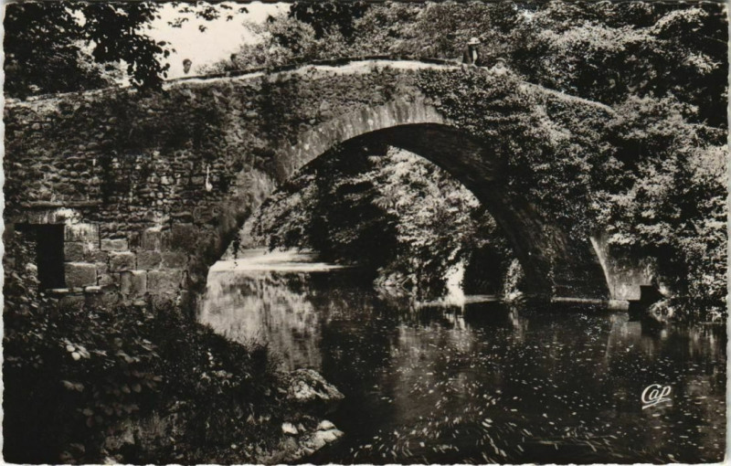 Carte postale ancienne St Jean Pied de Port Le Pont romain d'Eyheraberry France